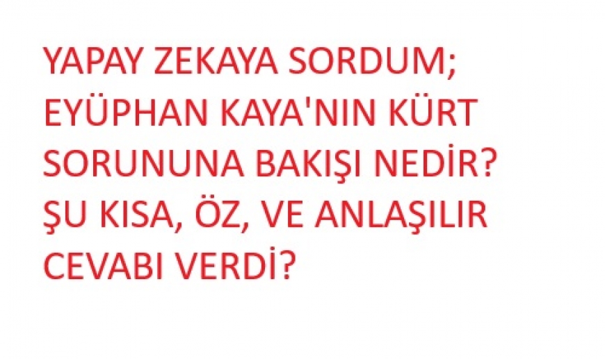  Eyüphan Kaya'nın Kürt meselesine bakışı nedir?