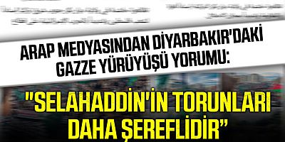 Arap medyasından Diyarbakır'daki Gazze yürüyüşü yorumu: 