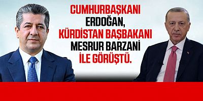 Cumhurbaşkanı Recep Tayyip Erdoğan, Kürdistan Başbakanı Mesrur Barzani ile görüştü.