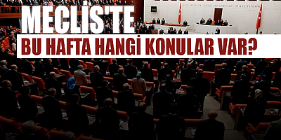 Meclis'te bu hafta hangi konular var?